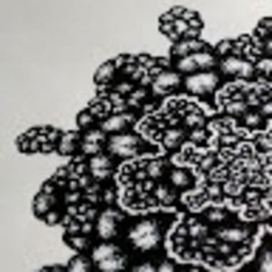 Meet your Posher, Susannah